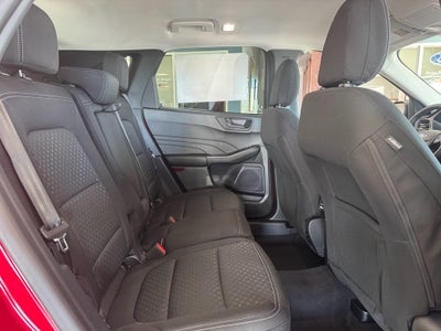 2026 Ford Escape Active AWD