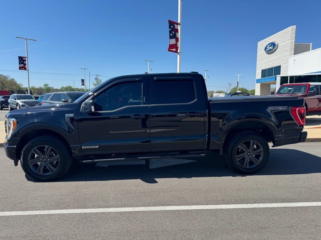 2023 Ford F-150 XLT